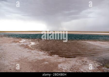 Nuages de tempête au-dessus du lagon de Cejar, San Pedro de Atacama, Désert d'Atacama, Chili Banque D'Images