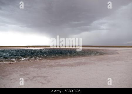Nuages de tempête au-dessus du lagon de Cejar, San Pedro de Atacama, Désert d'Atacama, Chili Banque D'Images