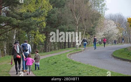 Holyrood Park, Édimbourg, Écosse, Royaume-Uni. 10 avril 2020. Photo: Les familles marchant les cyclistes à la farce de la route en pente qui est en fait fermé aux véhicules en raison de la migration annuelle de toad et des joggers sur les trottoirs et les routes,. La sécurité de la proximité avec les piétons est de savoir quand le photographe a été témoin d'un coureur et d'un cycliste qui s'est craché sur la bordure de l'herbe. Crédit: Arch White/ Alay Live News. Banque D'Images