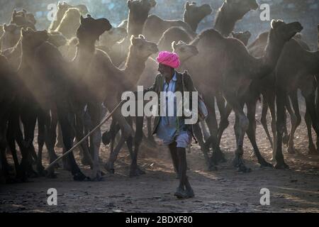 L'image du portrait de l'homme Rajasthani à la foire des animaux de Pushkar, Ajmer, Rajasthan, Inde, asie Banque D'Images