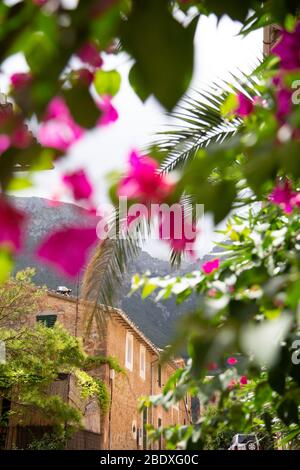Paysage créatif de Deia, Majorque Banque D'Images