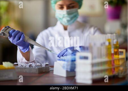 Femme en laboratoire utilisant une pipette pour l'analyse de sang Banque D'Images