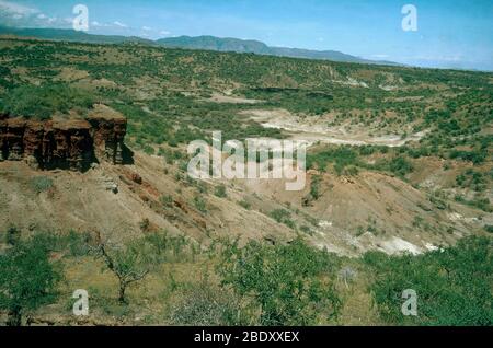 La gorge d'Olduvai, en Tanzanie Banque D'Images