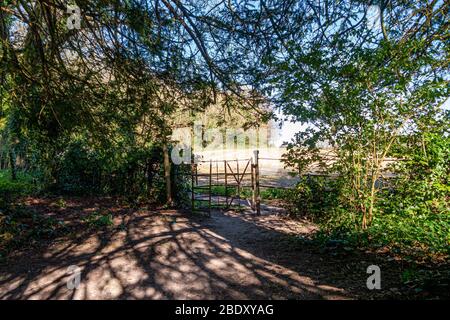 Le chemin de long-distance de Monarch, qui mène à l'église du village de Findon, dans le parc national de South Downs, West Sussex, Angleterre, Royaume-Uni. Banque D'Images