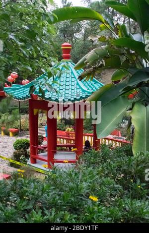 5 juin 2019 - La ville de Baguio aux Philippines : Le jardin botanique de la ville de Baguio aux Philippines. Pavillon chinois traditionnels. L'architecture de l'Asie Banque D'Images