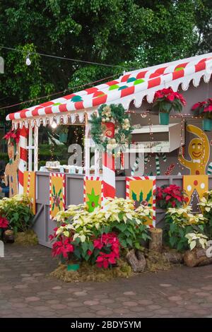 Le 28 novembre 2019 à Baguio City PHILIPPINES : Food décorées de fleurs de Noël Noël : lumières et à Burnham park dans la ville de Baguio dans le Philippin Banque D'Images
