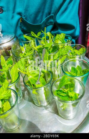 Plateau à la menthe préparé pour le thé à la menthe à la médina. Banque D'Images