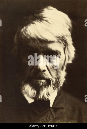 Thomas Carlyle par Julia Margaret Cameron, 1867 Banque D'Images