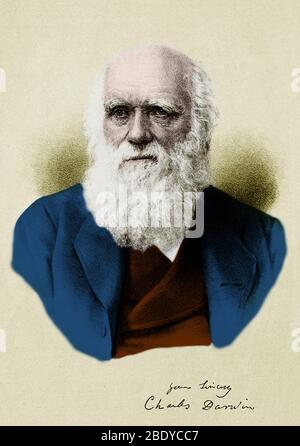 Charles Darwin, Naturaliste anglais Banque D'Images