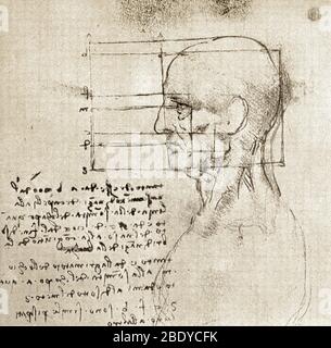 Dessin anatomique de Leonardo da Vinci Banque D'Images