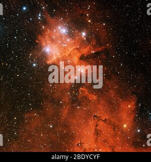 Nébuleuse cardiaque, IC 1805,  -190 Banque D'Images