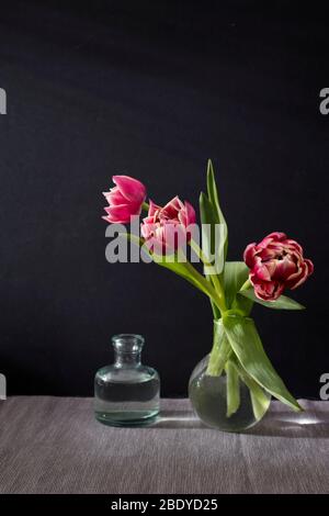 Trois tulipes en tissu éponge rouge dans un vase rond avec de petites bouteilles pharmaceutiques sur fond noir Banque D'Images