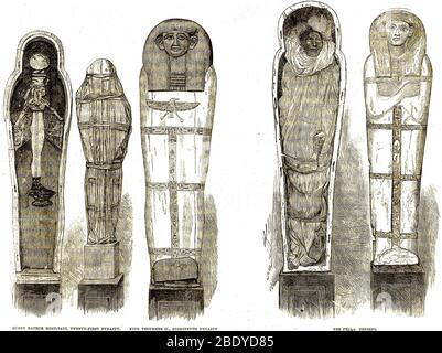 Sarcophagi et momies égyptiennes, Illustration Banque D'Images