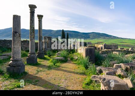 Colonnes aux ruines romaines de Volubilis au Maroc Banque D'Images