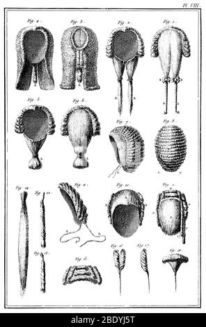 Wigmaker Wigs, 1762 Banque D'Images