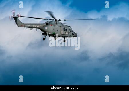 Westland Lynx HS3GM de la Royal Navy qui exploite le type entre 1976 et 2017 Banque D'Images