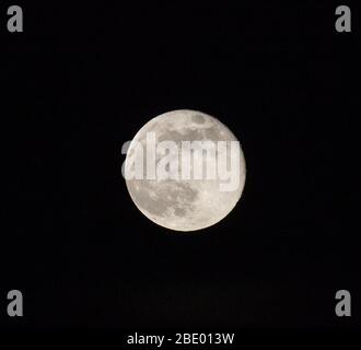 Lune de Supper rose vue de Sandbach Cheshire Angleterre avril 2020 Banque D'Images