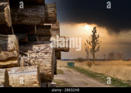 Fond en bois naturel - clôture de bois de chauffage haché. Bois de chauffage empilé et préparé pour l'hiver pile de bois de grumes. Banque D'Images