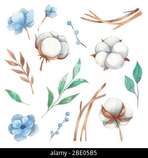 Ensemble d'éléments floraux aquarelle à base de fleurs de coton, de brindilles, de fleurs bleues. Éléments aquarelle isolés sur un fond blanc Banque D'Images