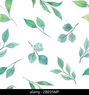 Aquarelle modèle sans couture de brindilles vertes isolé sur un fond blanc Banque D'Images