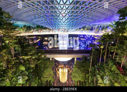 Singapour-30 août 2019 : joyau Changi à l'aéroport de Singapour pendant le spectacle de lumière. Le nouveau terminal dôme en verre comprend une chute d'eau verticale, un tropical Banque D'Images