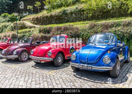 Rangée de voitures de tourisme colorées VW Beetle convertibles Banque D'Images