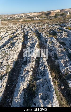 Voiturette ornières, Malte, à Misrah Ghar il-Kbir (jonction Clapham) près des falaises de Dingli, peut-être âge de bronze Banque D'Images