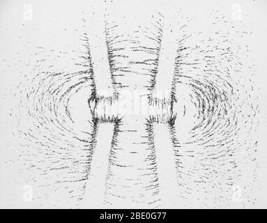 Vue latérale du résultat de champ de deux aimants en fer à cheval. Le champ se manifeste dans les lignes de flux des limaille de fer. Les interactions entre les dépôts les font s'accumuler dans les lignes d'arc dans le champ continu. Banque D'Images