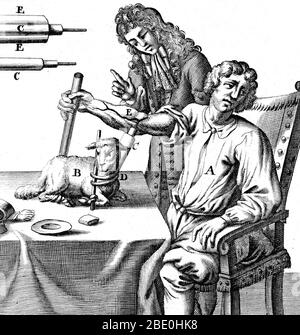 Transfusion sanguine précoce. Art historique du physiologiste anglais Richard Lower (1631-1691) transfusionnant le sang dans un bras d'homme d'un agneau en 1667. L'extrémité du tube utilisé pour percer les vaisseaux sanguins et transférer le sang se trouve en haut à gauche. La première plus basse a démontré la transfusion du sang de l'artère d'un chien à la veine d'un autre en 1665. Les tentatives ultérieures d'autres personnes de transfuter des animaux vers les humains ont entraîné quelques décès. Le Treatise du bas sur le coeur décrit le coeur comme une pompe musculaire plutôt qu'un organe 'gonflé par les esprits'. Il a déduit que le rouge vif du sang artériel Banque D'Images