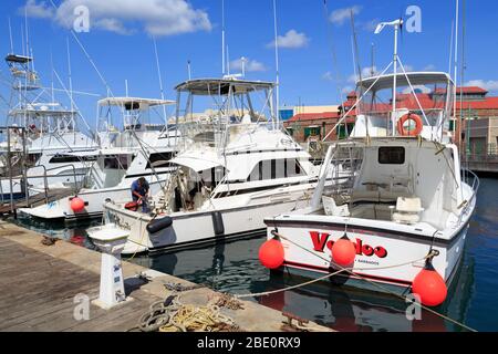 Bateaux dans le Caréenage,Bridgetown,Barbade,Caraïbes Banque D'Images