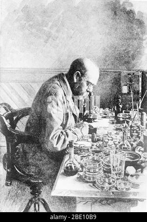 Heinrich Hermann Robert Koch (11 décembre 1843 - 27 mai 1910) était médecin et microbiologiste allemand. En tant que fondateur de la bactériologie moderne, il a identifié les agents causatifs de la tuberculose, du choléra et de l'anthrax et a apporté un soutien expérimental au concept de maladie infectieuse, qui comprenait des expériences sur les humains et les animaux. Koch a créé et amélioré des technologies et techniques de laboratoire, et a fait des découvertes clés en santé publique. Pour ses recherches sur la tuberculose, Koch a reçu le prix Nobel de physiologie ou médecine en 1905. En 1910, Koch a subi une crise cardiaque et n'a jamais fait de Banque D'Images