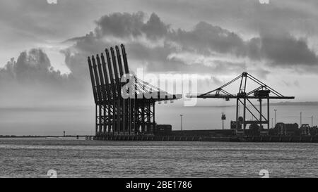 Terminal de conteneurs avec de grandes grues au coucher du soleil à Port d'Anvers, Belgique Banque D'Images