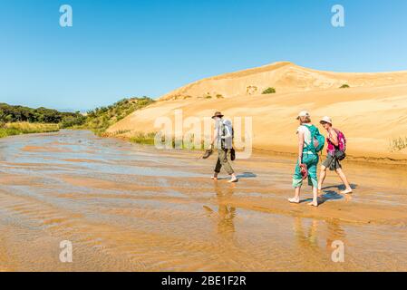 Les randonneurs à pied vers le bas le ruisseau Te Paki, près de quatre-vingt-dix Mile Beach, North Island, New Zealand Banque D'Images
