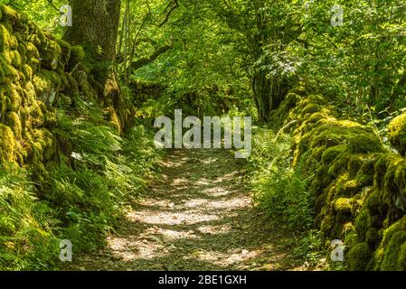Low Lane, une piste ancienne à Kentmere dans le district de lac Anglais Banque D'Images