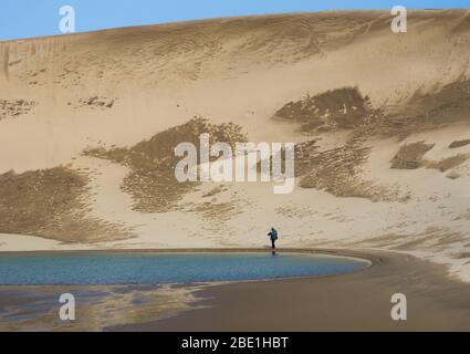 Homme randonnée dans les dunes de sable de Tottori, Japon Banque D'Images