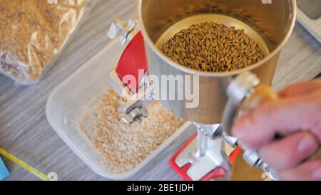 Écrasant le malt à l'aide d'un moulin, avant de battre notre bière, la préparation à la maison Banque D'Images