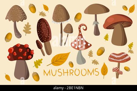 Jolie collection de champignons sur fond. Des autocollants de champignons pour la créativité des enfants, des étiquettes pour les produits ou un logo pour un agriculteur. Illustration de Vecteur