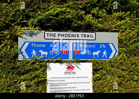 Suivez le sentier Phoenix, en partant de Princes Risborough dans Buckinghamshire jusqu'à Thame dans Oxfordshire, Royaume-Uni. Chilternes. Banque D'Images