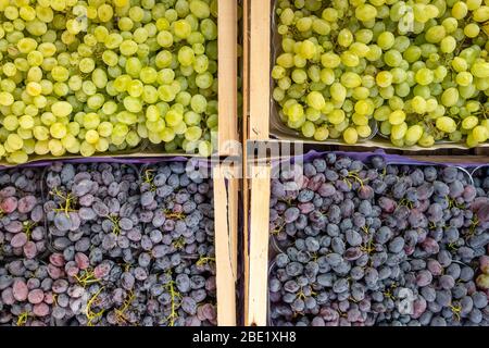 De magnifiques grappes de raisins blancs et bleus sur le marché agricole Banque D'Images