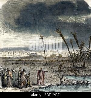 Scène de l'ancien testament : les dix plie d'Égypte - Moise et l'invasion de sauterelles (Plague de Locustes) Engrangeant une collecti privée du XIXe siècle Banque D'Images