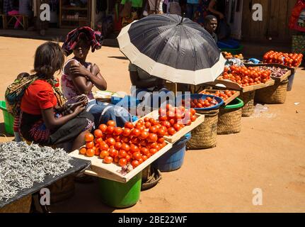 Les femmes qui vendent des tomates sur le marché de Mzuzu, dans le nord du Malawi Banque D'Images
