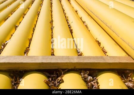 Les tuyaux de gaz naturel et les conduites de gaz sont empilés sur un site de construction recouvert de feuilles tombées Banque D'Images
