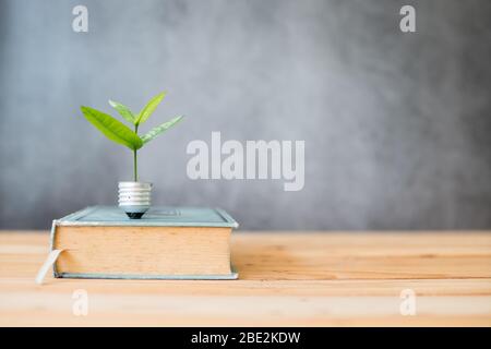 connaissance croissante du concept, petit arbre de croissance de l'ampoule d'éclairage et grand livre sur la table Banque D'Images