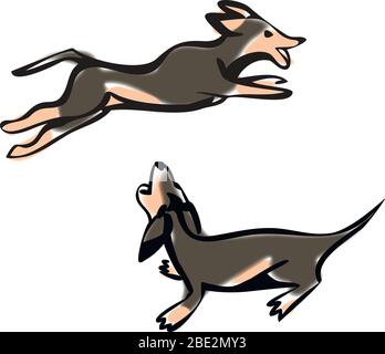 Illustration vectorielle de mignon chien de Dachshund de race de race purebred. Isolé sur fond blanc Illustration de Vecteur
