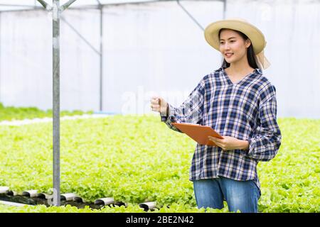 Asie, femme thaïlandaise agriculteur vérifiant la qualité des légumes hydroponiques et note dans la ferme biologique Banque D'Images