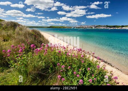 Plage le long de l'estuaire de Camel donnant sur Padstow Banque D'Images