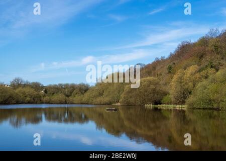 BIDEFORD, NORTH DEVON, ANGLETERRE - APRIL7 2020: Vue sur le lac Sanctuary dans la vallée de Kenwith réserve naturelle locale alias LNR, et parc communautaire au printemps. Banque D'Images