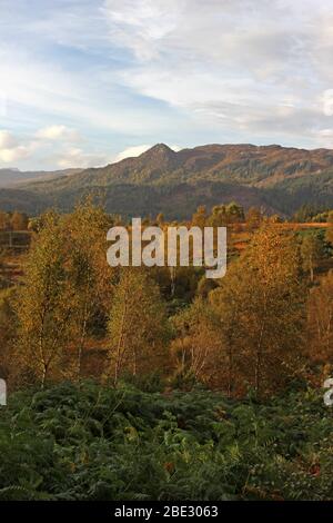 Ben aan au Loch Achray, Trossachs Ecosse Banque D'Images