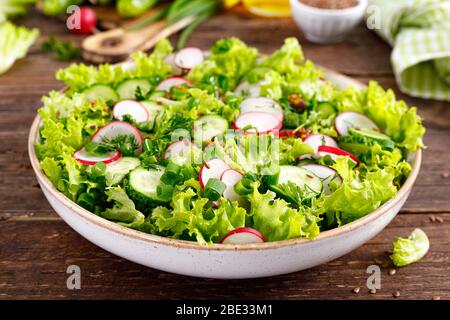 Salade de légumes frais de légumes de radis, concombres, laitue, aneth et oignon vert, nourriture végétarienne saine Banque D'Images