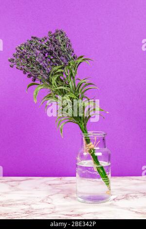 Fleurs de lavande dans un vase en verre sur une surface en marbre et fond violet Banque D'Images